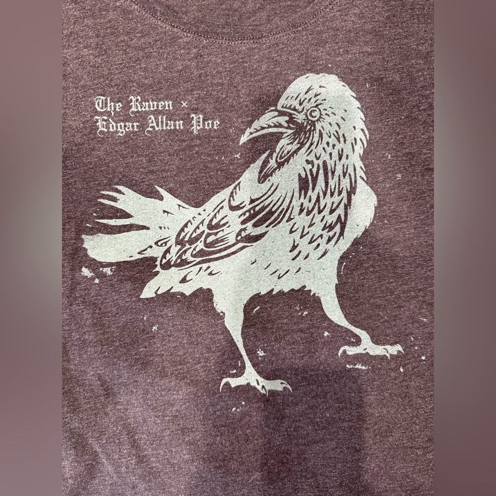 Out Of Print The Raven Gray T-Shirt with Edgar Allan Poe Raven Print Size Small - Picture 6 of 12